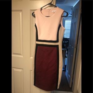 CK Pink/Purple Dress